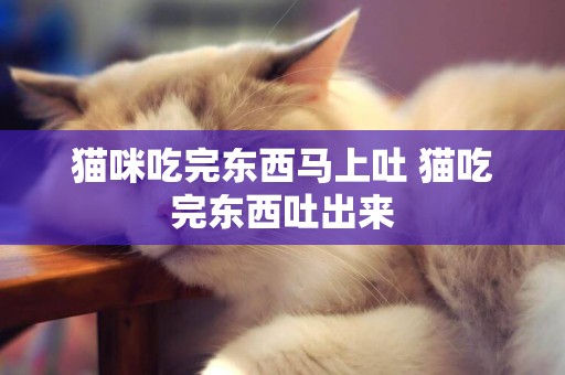 貓咪吃完東西馬上吐 貓吃完東西吐出來