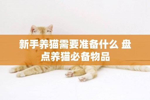 新手養貓需要準備什么 盤點養貓必備物品