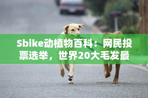 Sbike動植物百科：網民投票選舉，世界20大毛發最可愛動物（上） 