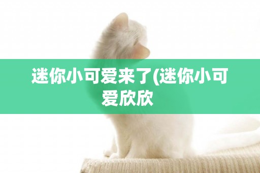 迷你小可愛來了(迷你小可愛欣欣 