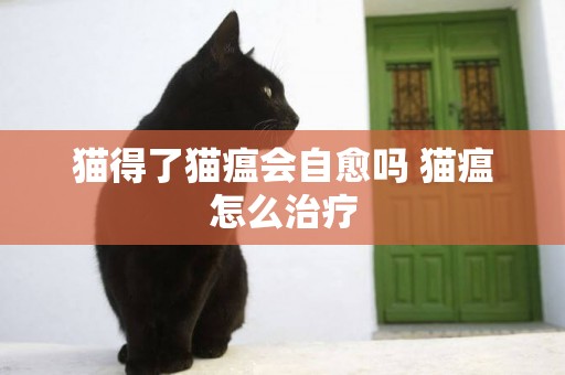 貓得了貓瘟會自愈嗎 貓瘟怎么治療