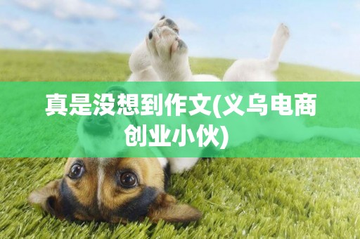 真是沒想到作文(義烏電商創業小伙) 