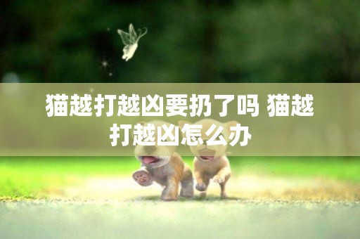 貓越打越兇要扔了嗎 貓越打越兇怎么辦