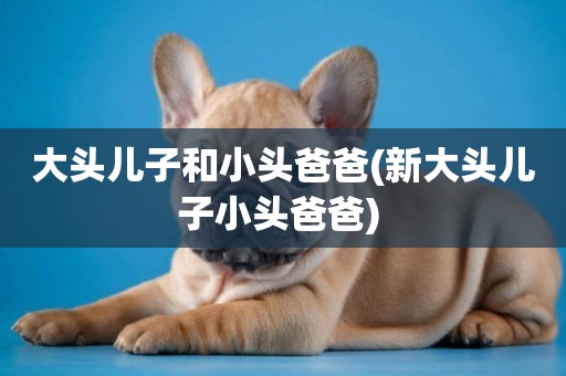 大頭兒子和小頭爸爸(新大頭兒子小頭爸爸) 