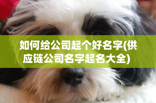 如何給公司起個好名字(供應鏈公司名字起名大全) 