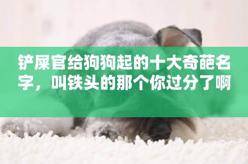 鏟屎官給狗狗起的十大奇葩名字，叫鐵頭的那個你過分了啊 