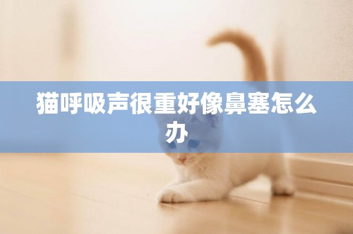 貓呼吸聲很重好像鼻塞怎么辦