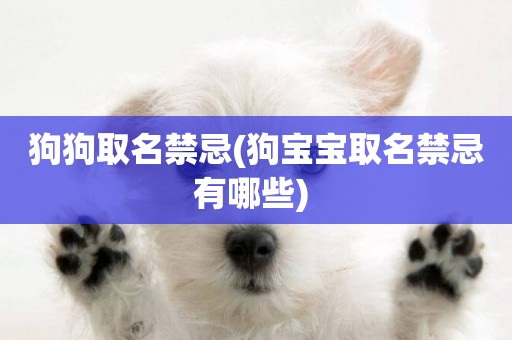 狗狗取名禁忌(狗寶寶取名禁忌有哪些) 