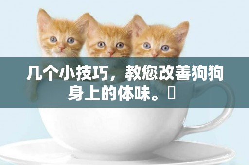 幾個小技巧，教您改善狗狗身上的體味。? 