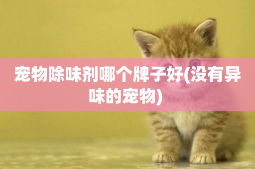 寵物除味劑哪個牌子好(沒有異味的寵物) 