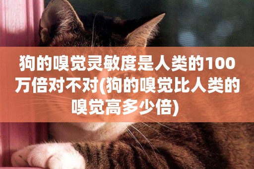 狗的嗅覺靈敏度是人類的100萬倍對不對(狗的嗅覺比人類的嗅覺高多少倍) 