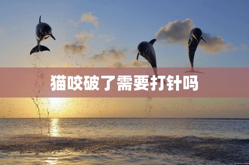 貓咬破了需要打針嗎