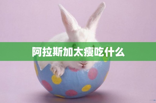 阿拉斯加太瘦吃什么