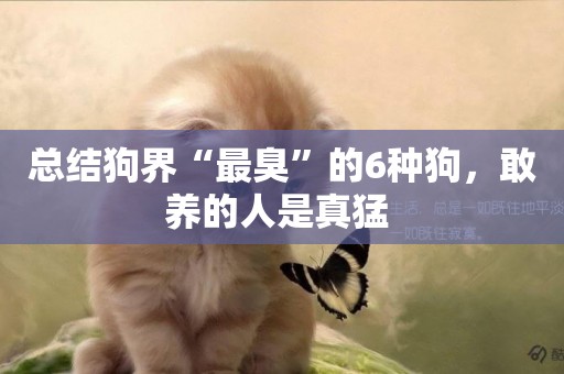 總結狗界“最臭”的6種狗，敢養的人是真猛 