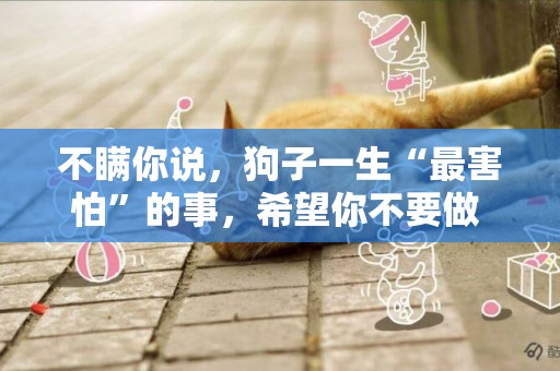 不瞞你說，狗子一生“最害怕”的事，希望你不要做 