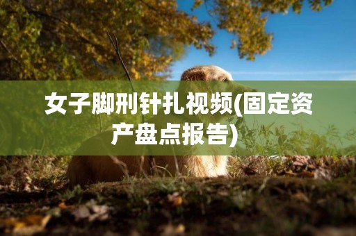 女子腳刑針扎視頻(固定資產盤點報告) 