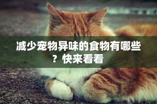減少寵物異味的食物有哪些？快來看看 