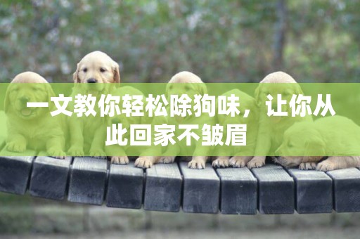 一文教你輕松除狗味，讓你從此回家不皺眉 