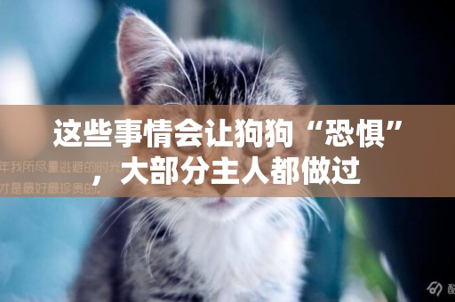 這些事情會讓狗狗“恐懼”，大部分主人都做過 