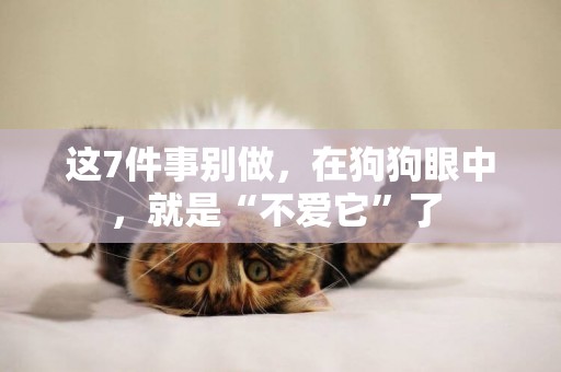 這7件事別做，在狗狗眼中，就是“不愛它”了 