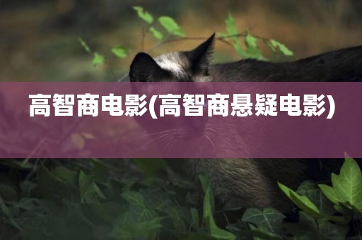 高智商電影(高智商懸疑電影) 