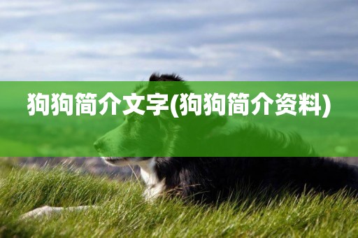 狗狗簡介文字(狗狗簡介資料) 