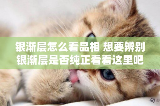 銀漸層怎么看品相 想要辨別銀漸層是否純正看看這里吧！