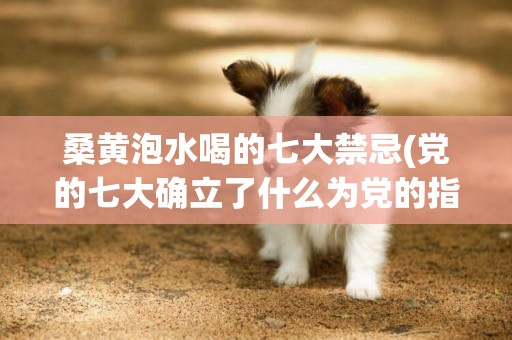 桑黃泡水喝的七大禁忌(黨的七大確立了什么為黨的指導思想) 