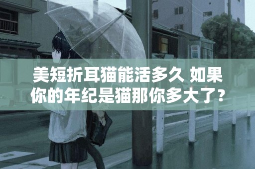 美短折耳貓能活多久 如果你的年紀是貓那你多大了？