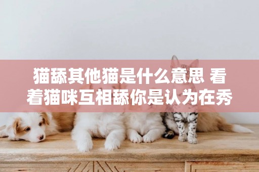 貓舔其他貓是什么意思 看著貓咪互相舔你是認為在秀恩愛嗎