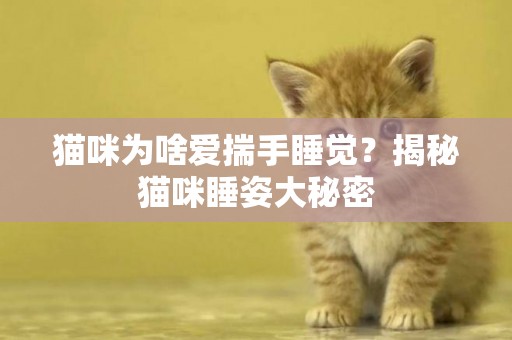 貓咪為啥愛揣手睡覺?揭秘貓咪睡姿大秘密 貓咪為啥愛揣手睡覺?揭秘貓咪睡姿大秘密