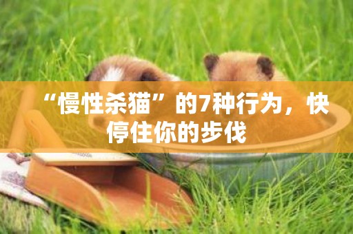“慢性殺貓”的7種行為，快停住你的步伐