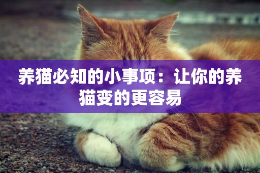 養貓必知的小事項：讓你的養貓變的更容易