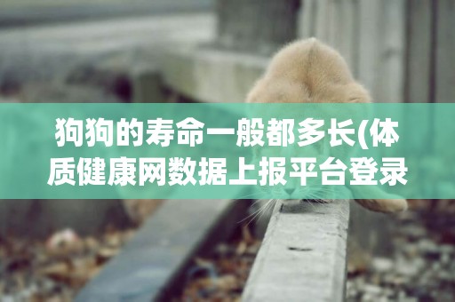 狗狗的壽命一般都多長(體質健康網數據上報平臺登錄入口) 