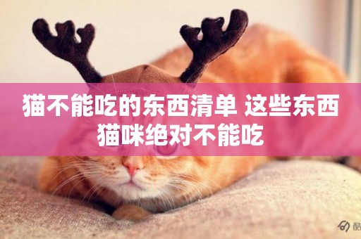貓不能吃的東西清單 這些東西貓咪絕對不能吃
