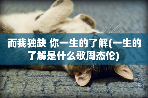 而我獨缺 你一生的了解(一生的了解是什么歌周杰倫) 