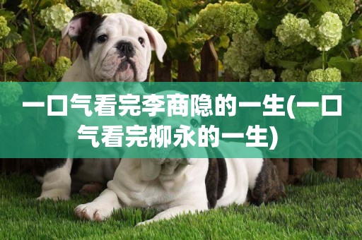 一口氣看完李商隱的一生(一口氣看完柳永的一生) 
