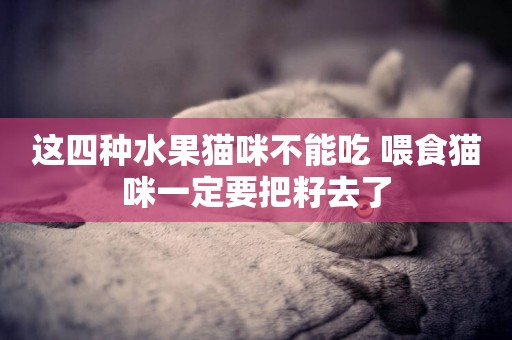 這四種水果貓咪不能吃 喂食貓咪一定要把籽去了