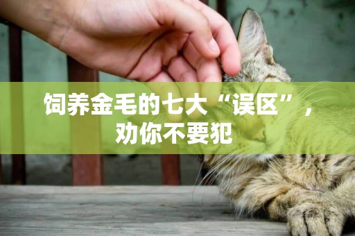 飼養金毛的七大“誤區”，勸你不要犯 