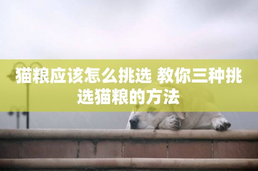 貓糧應該怎么挑選 教你三種挑選貓糧的方法