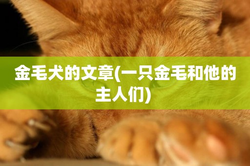 金毛犬的文章(一只金毛和他的主人們) 
