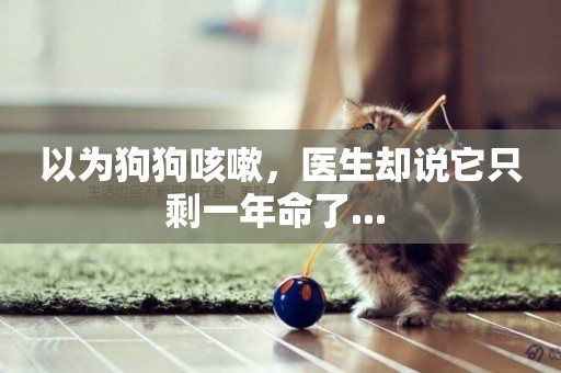以為狗狗咳嗽，醫生卻說它只剩一年命了... 