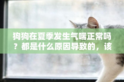 狗狗在夏季發生氣喘正常嗎？都是什么原因導致的，該怎么辦？ 