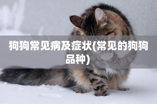 狗狗常見病及癥狀(常見的狗狗品種) 