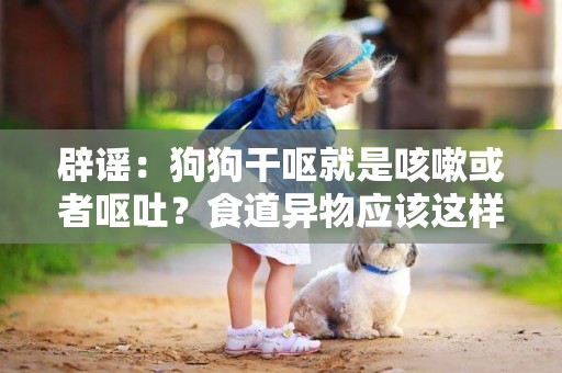 辟謠：狗狗干嘔就是咳嗽或者嘔吐？食道異物應該這樣診斷和治療 