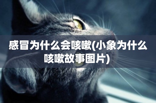 感冒為什么會咳嗽(小象為什么咳嗽故事圖片) 