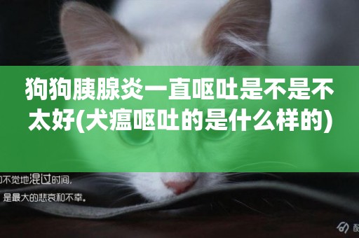 狗狗胰腺炎一直嘔吐是不是不太好(犬瘟嘔吐的是什么樣的) 