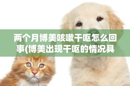 兩個月博美咳嗽干嘔怎么回事(博美出現干嘔的情況具體有哪些原因?) 
