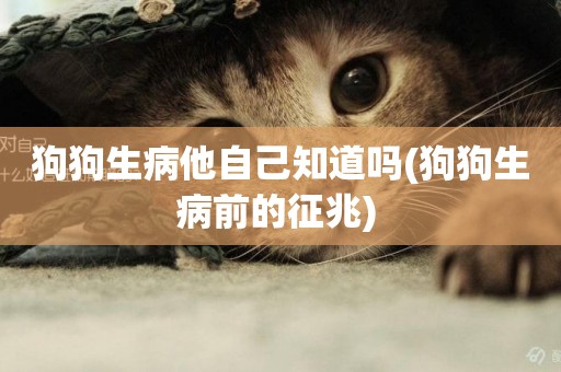 狗狗生病他自己知道嗎(狗狗生病前的征兆) 
