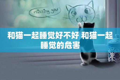和貓一起睡覺好不好 和貓一起睡覺的危害